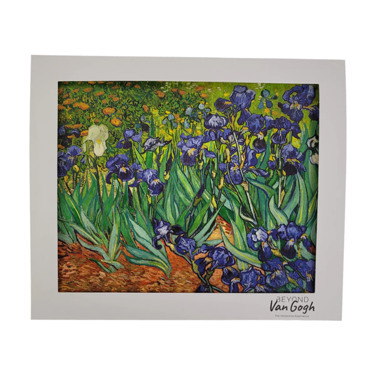 Field with Irises Matted Print 8x10